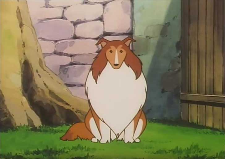 TVアニメ『 名犬ラッシー 』が教えてくれた愛犬の大切さ