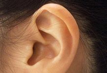 あなたも持っているかも?声優さんの声を聴き分ける『ダメ絶対音感』